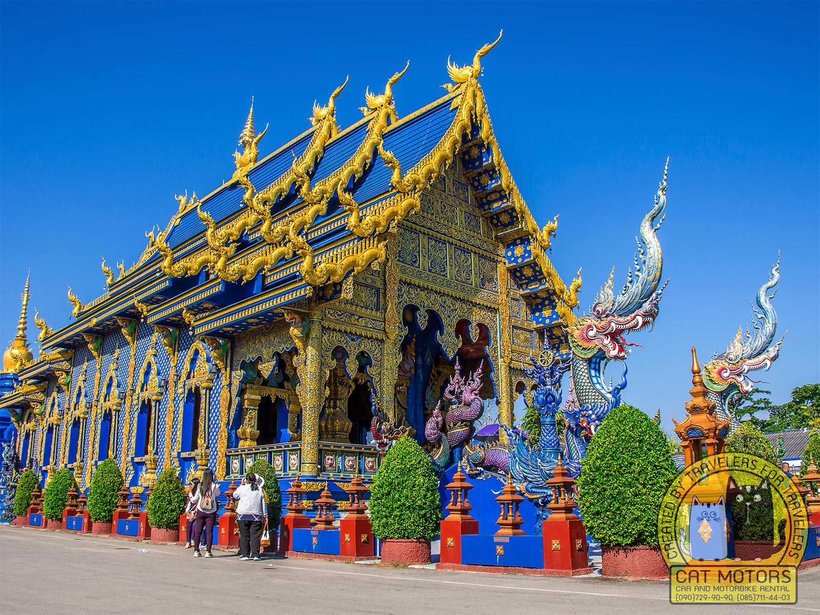 Blue Black Hair Ideas