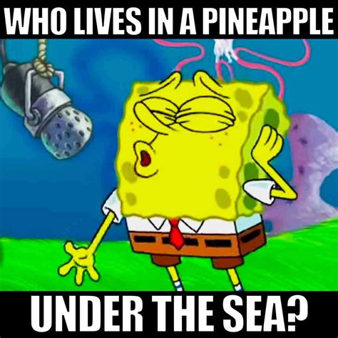 The Spongebob Meme